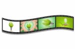 Lightbulb In Filmstrip Concept Of Saving Energy Stock Photo