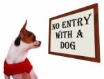 No Entry With A Dog Sign Stock Photo