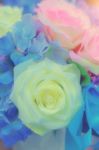 Flowers Arrangements - Spring Roses Celebration Bouquet Pastel Stock Photo