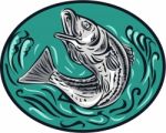 Rockfish Jumping Color Oval Drawing Stock Photo