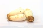 Mushroom On White Background Stock Photo