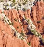 The    Dades Valley In Atlas Moroco Africa Ground Tree  And Nobo Stock Photo