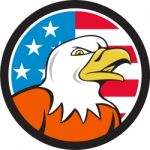 American Bald Eagle Head Angry Flag Circle Cartoon Stock Photo