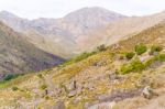 Michell's Pass In Western Cape, South Africa Stock Photo