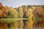 Autumn October Colorful Park. Foliage Trees Alley Stock Photo