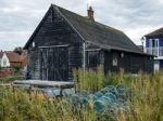 Lobster Pots In The Undergrowth Outside A Storage Shed In Aldebu Stock Photo