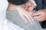 Wedding Ring Put On The Bride's Finger Stock Photo