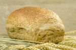 Bread Loaf Stock Photo