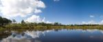 Panorama Of Reservoir In National Park Stock Photo