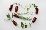 Top View, Bottle Of Essential Oil With Herbs Stock Photo