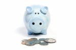 Blue Piggy Bank Savings Stock Photo