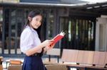 Asia Thai High School Student Uniform Beautiful Girl Read A Book Stock Photo