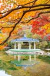 Naejangsan National Park In Autumn,south Korea Stock Photo