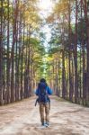 Hiking Man With Backpack Walking In Forest Stock Photo