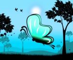 Butterfly At Nighttime Indicates Outdoors Countryside And Picturesque Stock Photo