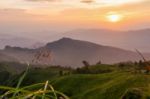 Sunset On Phu Chi Fa Forest Park Stock Photo