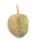 Durian Fruit On White Background Stock Photo