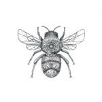 Bumble Bee Mandala Tattoo Stock Photo