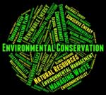 Environmental Conservation Indicates Preserving Sustainable And Stock Photo