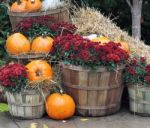 House Decorated With Pumpkins. New England. Usa Stock Photo