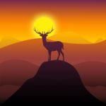 Mountain Deer Represents Wilderness Buck And Hunting Stock Photo