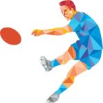 Rugby Player Kicking Ball Low Polygon Stock Photo