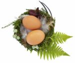 Easter Nest With Two Eggs And Feathers Stock Photo