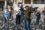 Man Playing With The Pigeons In St Mark's Square  In Venice Stock Photo