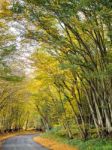 Autumnal Scene In The Sussex Countryside Stock Photo