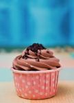 Chocolate Cup Cake On Table Clothes Stock Photo