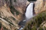 Lower Yellowstone Falls Stock Photo