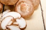 Shiitake Mushrooms Stock Photo