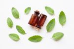 Holy Basil Essential Oil With  Fresh Leaves Stock Photo