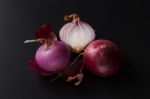 Shallots Still Life Black Background Stock Photo