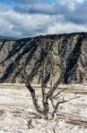 Mammoth Hot Springs Stock Photo