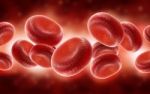 Blood Cells Stock Photo