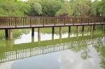 Wooden Bridge Over The Lake Through The Forest Stock Photo