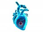 Human Heart  Stock Photo