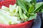 Vegetable Stock Photo