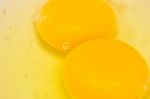 Egg Stock Photo