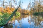 Forest Autumn Landscape With Pond Stock Photo