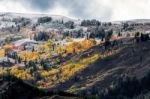 Autumn Colours In Wyoming Stock Photo