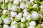 Green Eggplant Stock Photo