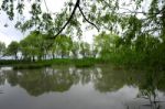 Trees Near The Lake And River Stock Photo