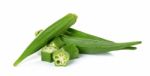 Sliced Okra Isolated On The White Backgroud Stock Photo