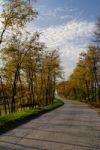 Fall Colors In Nature Stock Photo