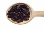 Sunflower Seeds On Wooden Spoon Stock Photo