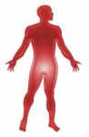 Male Human Anatomy Outline Red Stock Photo