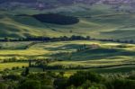 Val D'orcia In Tuscany Stock Photo