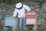 Man With Hives Stock Photo